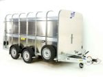 Ifor Williams Viehanhänger TA510 178 x 372 cm Höhe 183 cm 3,5t – Image 5